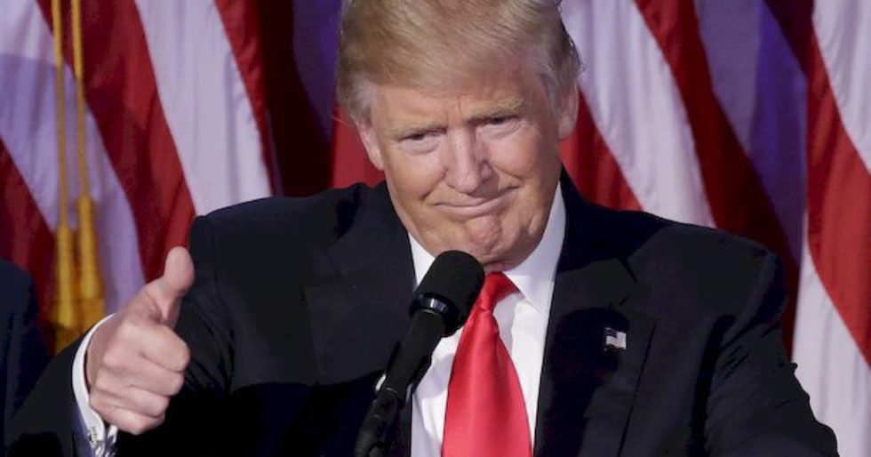 Ellen DeGeneres demonizuje Donalda Trumpa na Twitterze? Ellen DeGeneres demonizuje Donalda Trumpa na Twitterze?