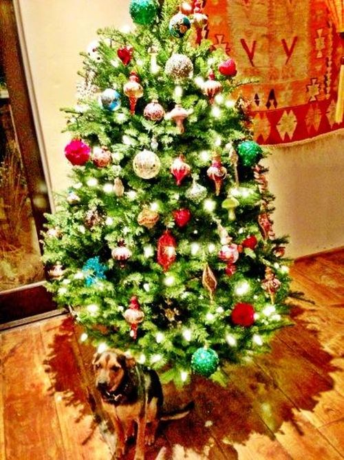 Miley Cyrus i jej dzieło - choinka (FOTO)