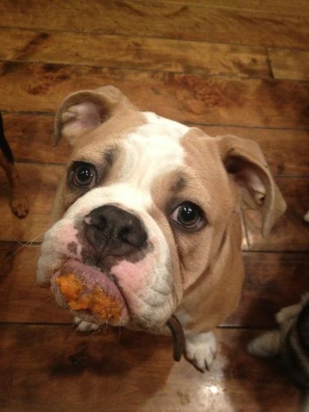 Miley Cyrus nie potrzebuje dzieci (FOTO) Miley Cyrus nie potrzebuje dzieci (FOTO)