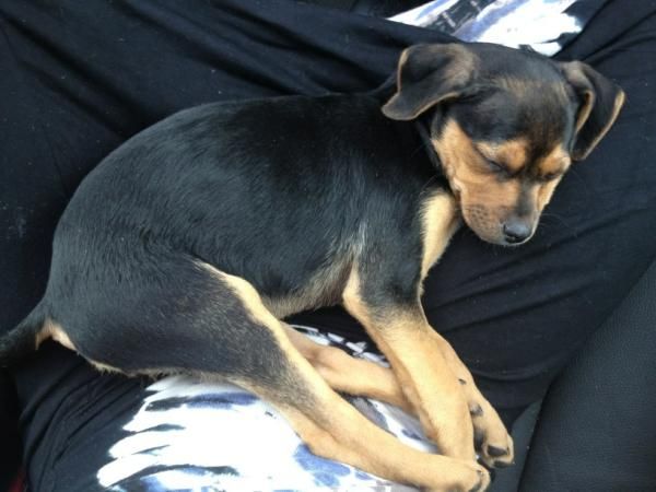 Miley Cyrus nie potrzebuje dzieci (FOTO) Miley Cyrus nie potrzebuje dzieci (FOTO)