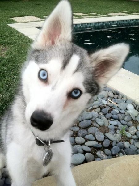 Miley Cyrus nie potrzebuje dzieci (FOTO) Miley Cyrus nie potrzebuje dzieci (FOTO)