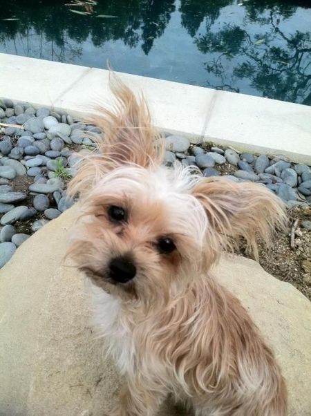 Miley Cyrus nie potrzebuje dzieci (FOTO) Miley Cyrus nie potrzebuje dzieci (FOTO)