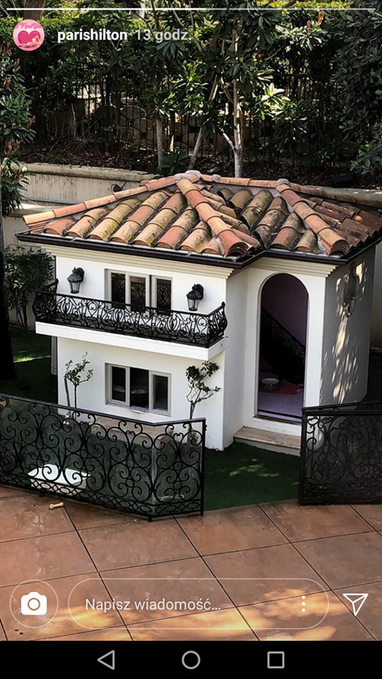 W głowie się nie mieści w jakich LUKSUSACH żyją psy Paris Hilton W głowie się nie mieści w jakich LUKSUSACH żyją psy Paris Hilton