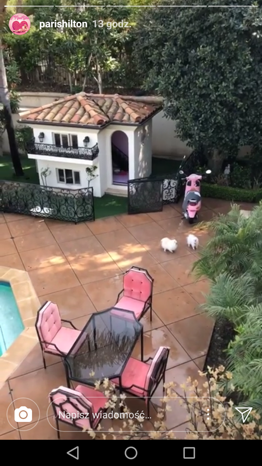 W głowie się nie mieści w jakich LUKSUSACH żyją psy Paris Hilton W głowie się nie mieści w jakich LUKSUSACH żyją psy Paris Hilton