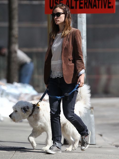Olivia Wilde na spacery chodzi z czworonożnym pupilem (FOTO) Olivia Wilde na spacery chodzi z czworonożnym pupilem (FOTO)
