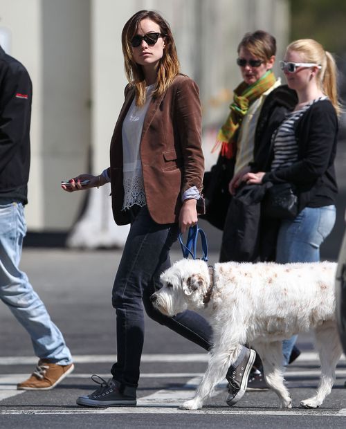 Olivia Wilde na spacery chodzi z czworonożnym pupilem (FOTO)