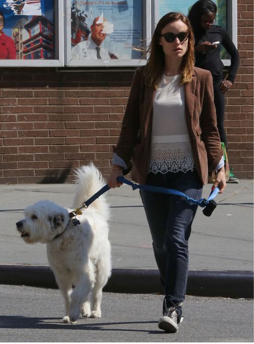 Olivia Wilde na spacery chodzi z czworonożnym pupilem (FOTO)