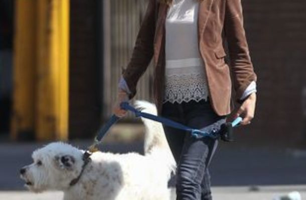 Olivia Wilde na spacery chodzi z czworonożnym pupilem (FOTO)