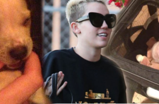 Miley Cyrus zabrała Bean’a do studia nagraniowego (FOTO)