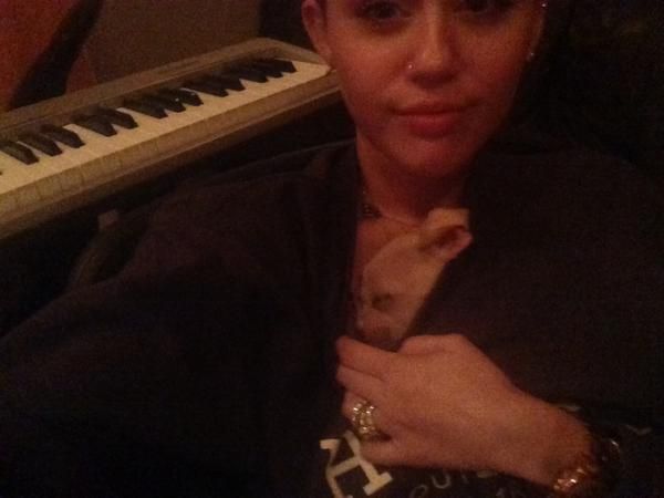 Poznajcie Beana - nowego pupila Miley Cyrus (FOTO)