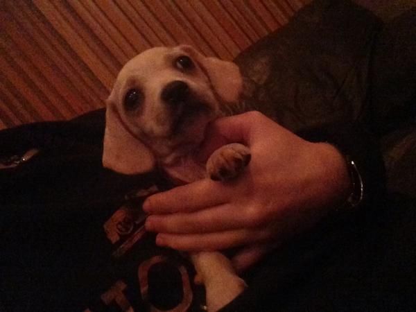 Miley Cyrus zabrała Bean'a do studia nagraniowego (FOTO)