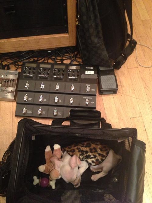 Miley Cyrus zabrała Bean'a do studia nagraniowego (FOTO)