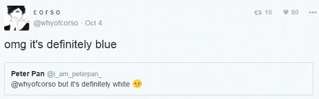 Ta torebka PODZIELIŁA Internautów! Jest niebieska, czy biała?