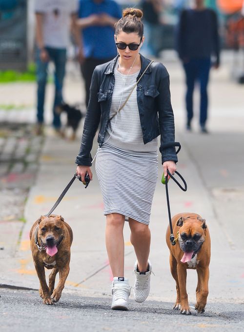 Kto chodzi na spacery z taką obstawą? (FOTO)