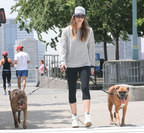 Kto chodzi na spacery z taką obstawą? (FOTO)
