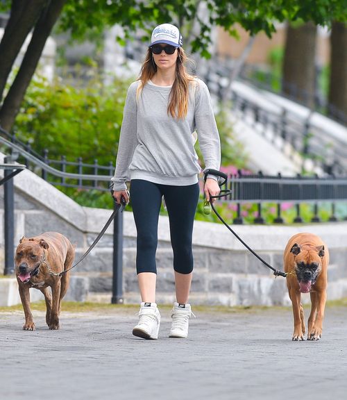 Kto chodzi na spacery z taką obstawą? (FOTO)