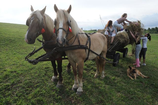 Top model, 2. edycja