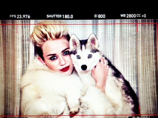 Miley Cyrus ze swoim pupulem (FOTO)