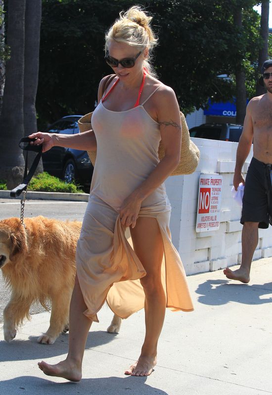 Pamela Anderson spotyka się z byłym mężem (FOTO)