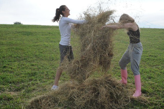 Top model, 2. edycja