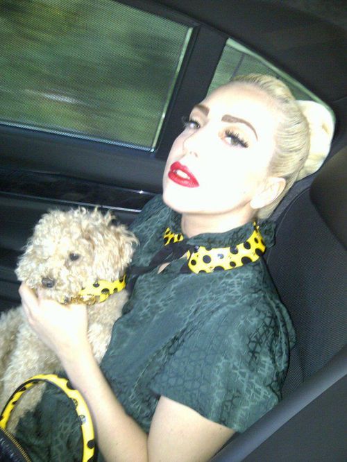 Kogo Lady Gaga uczy rysować? Kogo Lady Gaga uczy rysować?