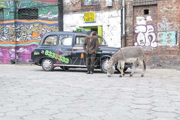W ich teledysku osioł będzie pił piwo (FOTO)