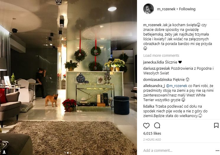 Rozenek-Majdan pokazała świąteczny salon, ale coś tu nie gra (Instagram)