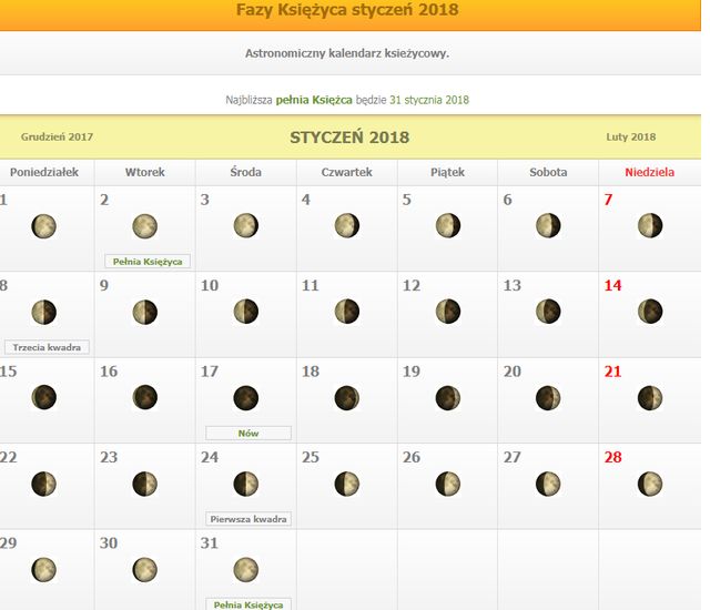 Marina o swoich włosach: Podcinam je co miesiąc, tylko w pełni księżyca