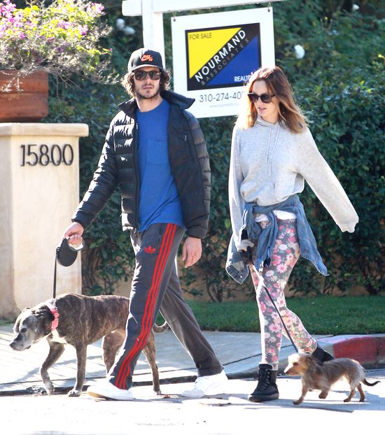 Pieskie życie Leighton Meester i Adama Brody'ego (FOTO) Pieskie życie Leighton Meester i Adama Brody'ego (FOTO)