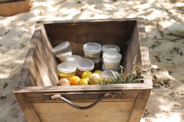 Nagi Adam szuka nagiej Ewy - nowy show TLC już dziś