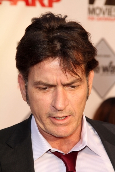 Denise Richards opisze nagą prawdę o byłym mężu