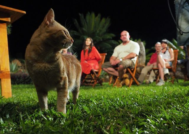 Agent odcinek 7 - kto odpadł z programu? Agent odcinek 7 - kto odpadł z programu?