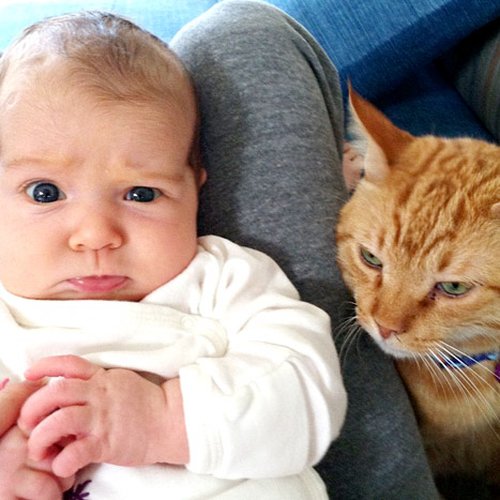 Czyj to słodki maluch? (FOTO)