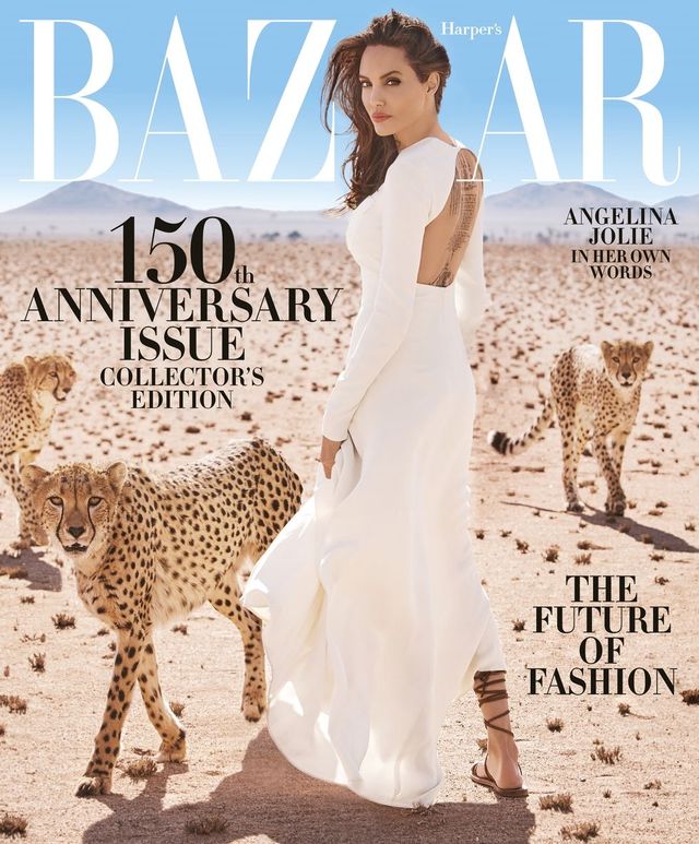 Angelina Jolie porusza niezwykle ważne kwestie w nowym Harper's Bazaar