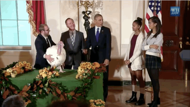 Znudzone i źle ubrane Obamówny podczas ułaskawiania indyka