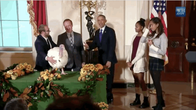 Znudzone i źle ubrane Obamówny podczas ułaskawiania indyka