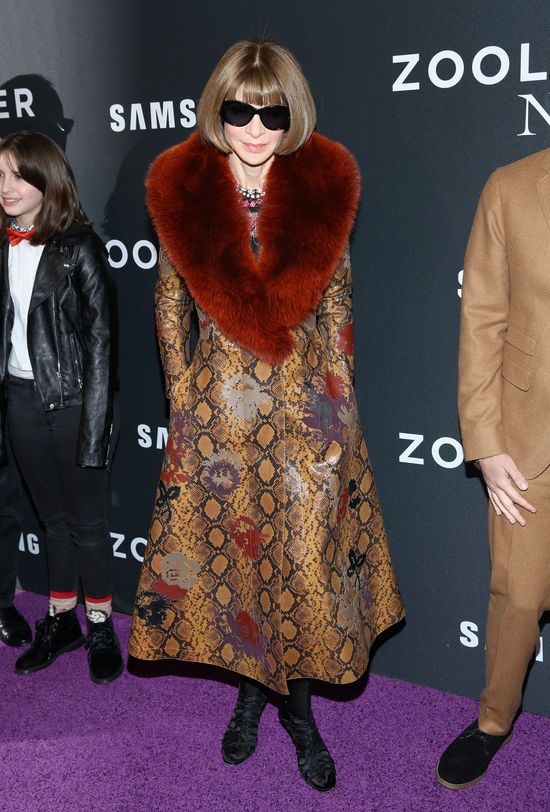 Plejada gwiazd na nowojorskiej premierze Zoolander 2 (FOTO)