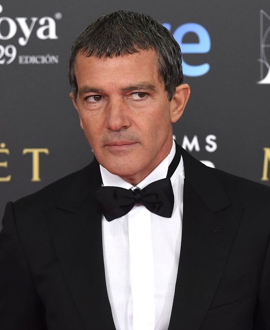 Ojczym Dakoty Johnson obejrzy 50 twarzy Greya?