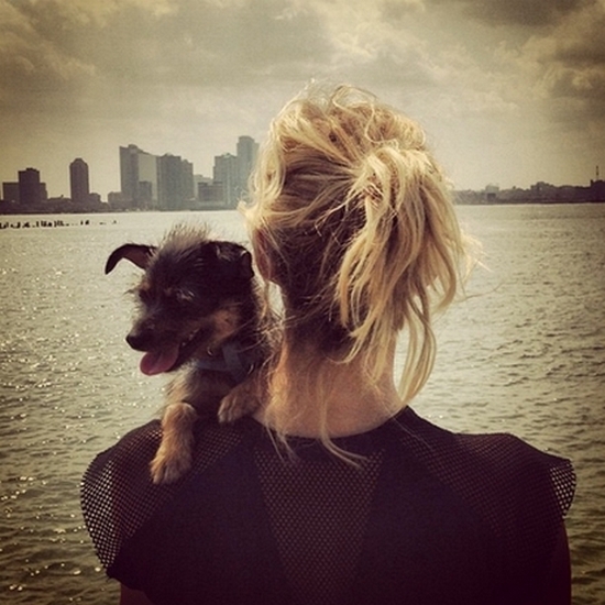 Anja Rubik dostała w prezencie szczeniaka (FOTO)