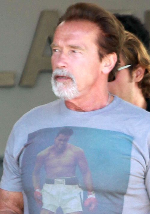 Czupryna farbowana, broda zdradza siwiznę (FOTO)