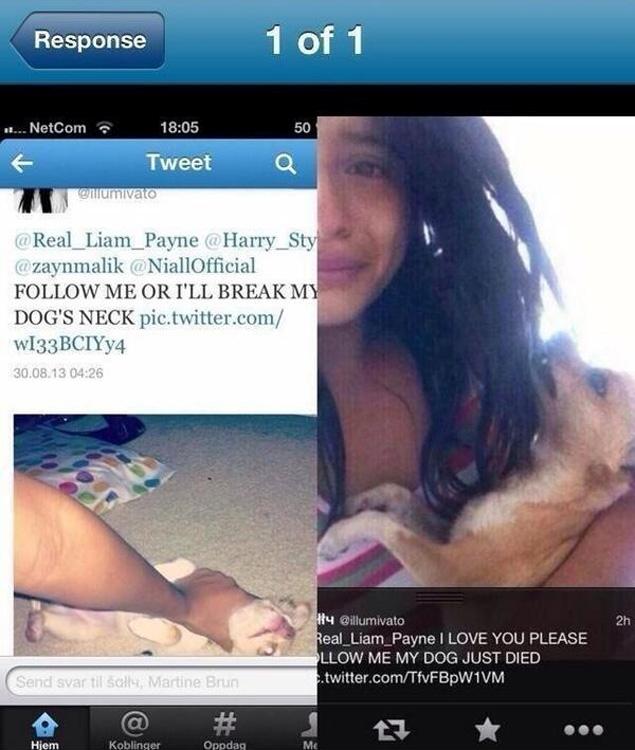 Zabiła psa, bo One Direction ją zignorowali