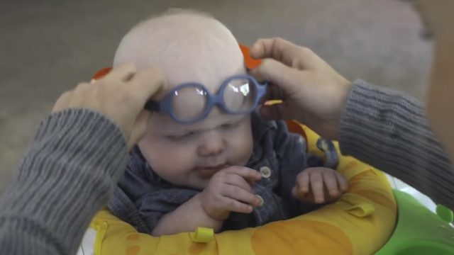 Mały Leopold po raz pierwszy zobaczył mamę [VIDEO]