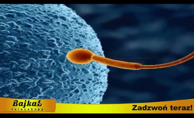 Bajka o 500 złotych na dziecko [VIDEO]