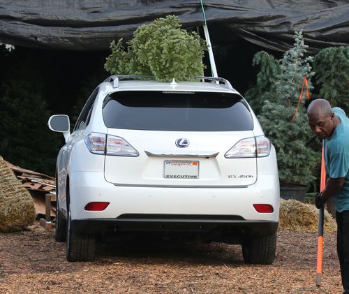 Choinka trafiła już do domu Halle Berry (FOTO)