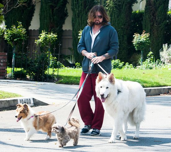 Wiadomo, po kim Miley Cyrus odziedziczyła miłość do zwierząt Wiadomo, po kim Miley Cyrus odziedziczyła miłość do zwierząt