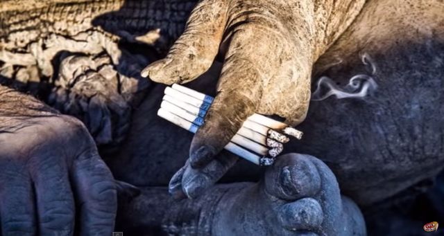 Ten mężczyzna nie myje się o 60 lat! Ten mężczyzna nie myje się o 60 lat!