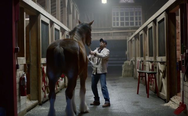 To najsłodsza reklama, którą zobaczycie podczas Super Bowl!