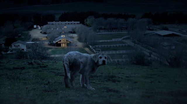 To najsłodsza reklama, którą zobaczycie podczas Super Bowl!