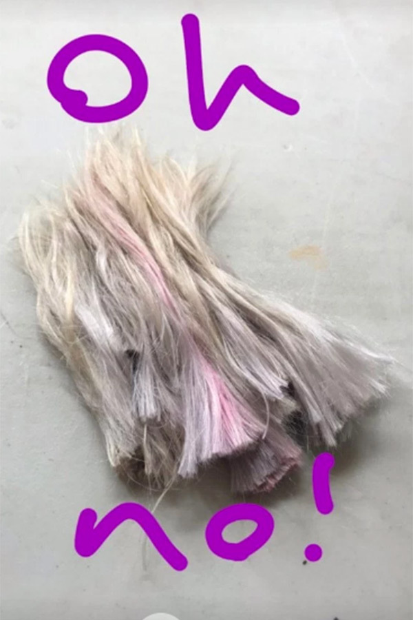 Cara Delevingne zgoliła włosy (Instagram)