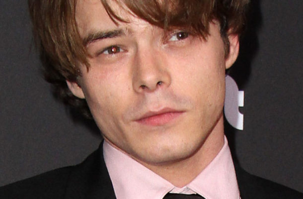Charlie Heaton ze Stranger Things zatrzymany na lotnisku w USA